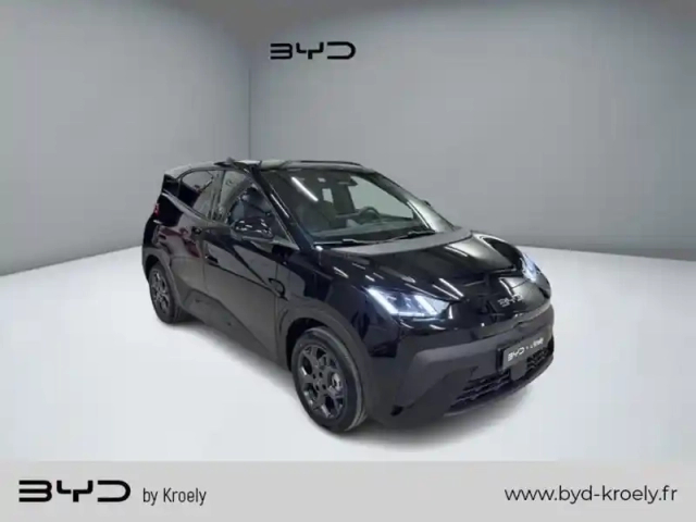 Byd Dolphin surf comfort 115 kw — photo 7