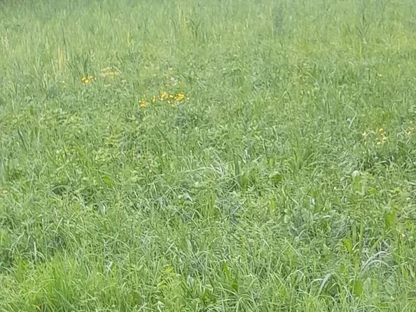 Rare terrain constructible le bourg d'Oisans