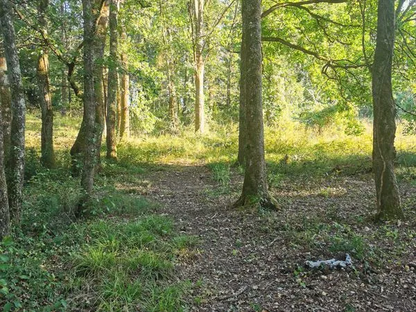 Terrain d'agrément