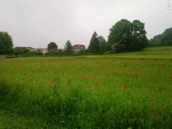 Terrain 3598 m² Barisis
