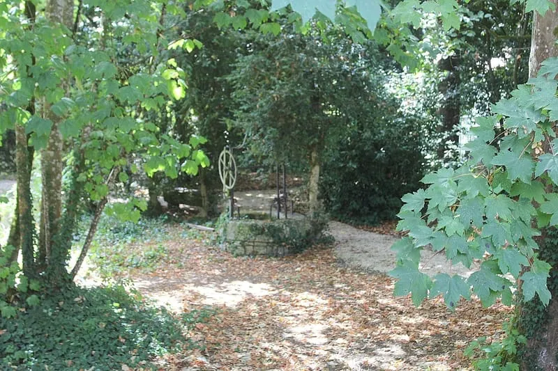 Photo 22