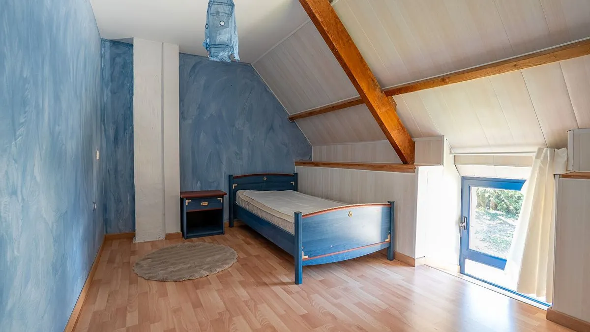 Photo 11