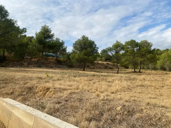 Terrain 593 m²