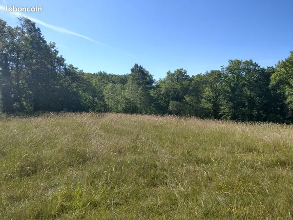 Terrain constructible viabilisé — 3 000 m² — Le Vigan-en-Quercy (46300)
