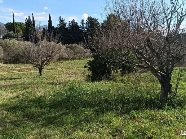 Location champs pour activité agricole