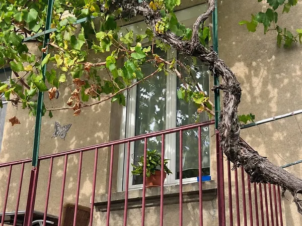 Maison 5 pièces 111 m²