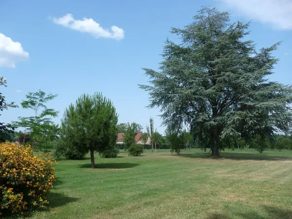 Blessac : particulier cède 2 Superbes Terrains à bâtir dans