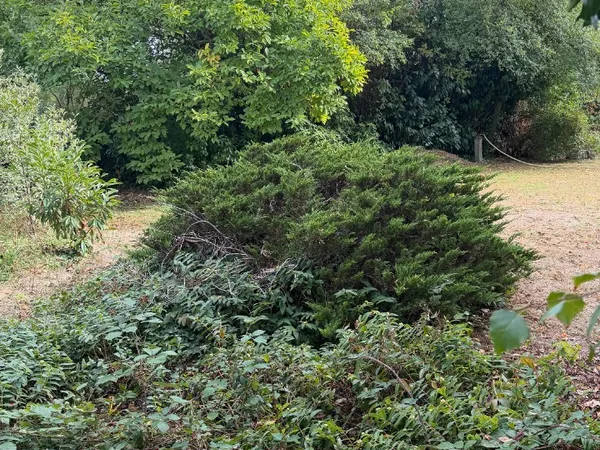 Terrain 272 m²
