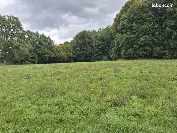 Terrain constructible