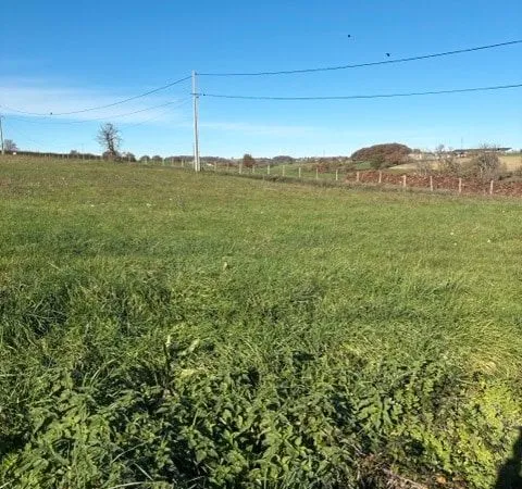 Terrain 1 076 m² Curdin