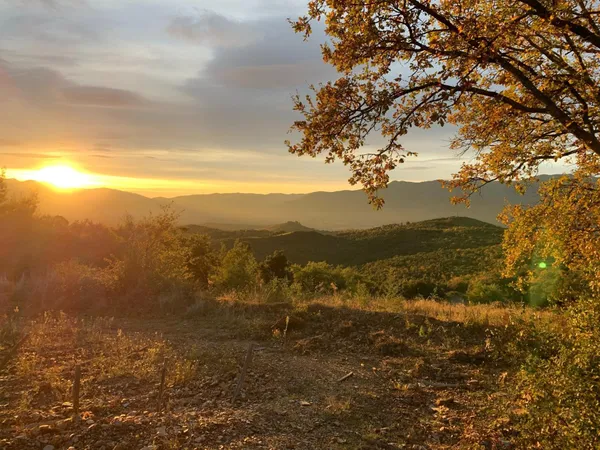 Domaine agricole d'exception au coeur des Aspres