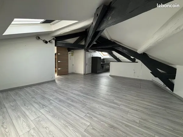 Duplex 2 pièces 29 m²