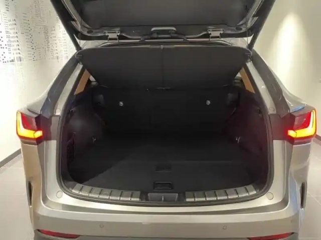 Lexus Nx 450h+ luxe 4wd my25 — photo 9