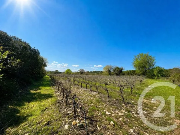 Terrain 50000 m²