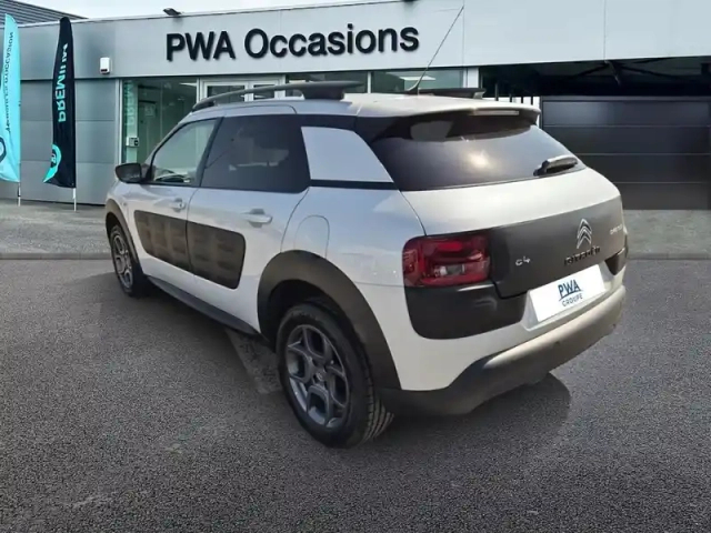 Citroën C4 cactus bluehdi 100 shine — photo 7