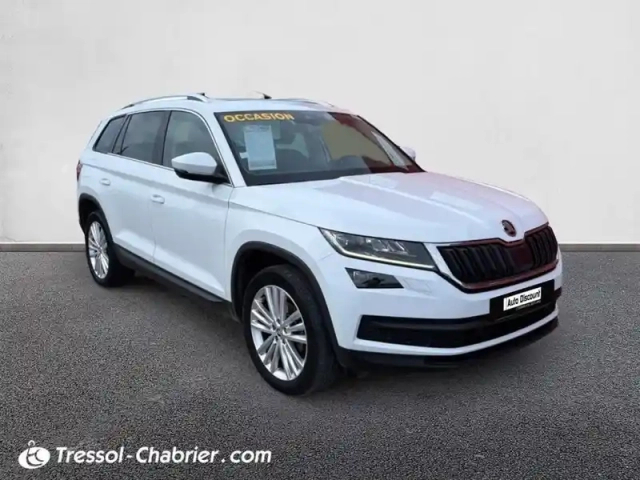 Skoda Kodiaq 2.0 tdi 150 scr dsg7 4x4 7pl style — photo 29
