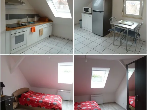 Appartement Schiltigheim (67300) - 2 pièces - 41m2 / 67m2 au sol