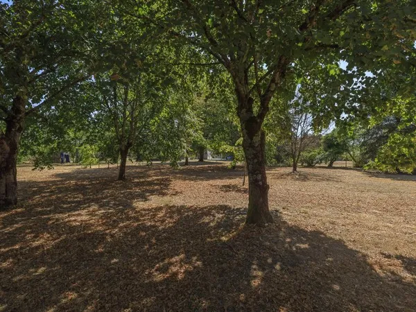 Terrain 9565 m²