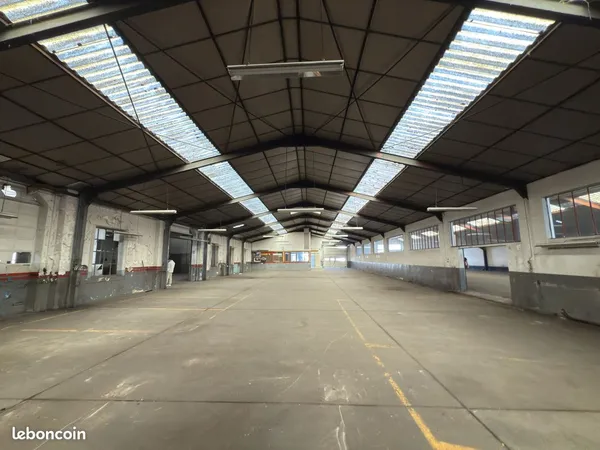 Local 675 m² Colmar