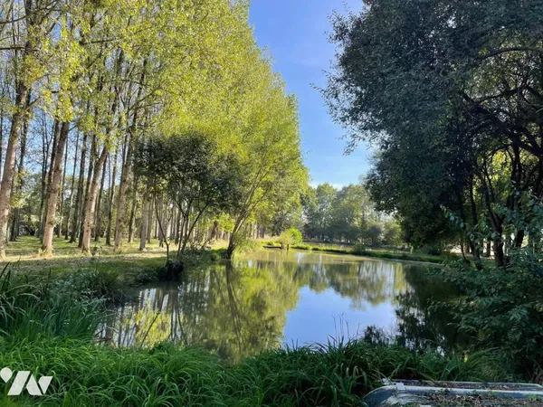 Terrain 60000 m²