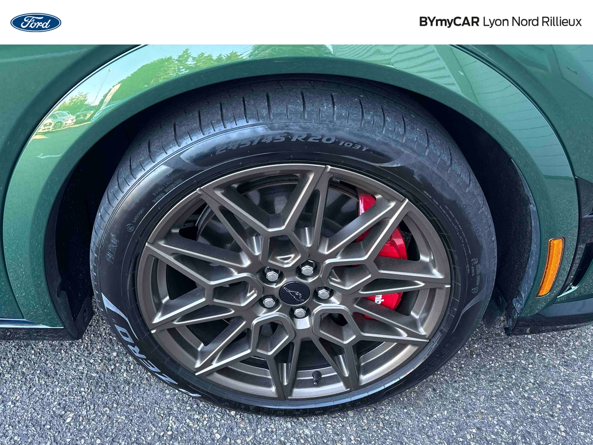 Ford Mustang Mach-E Extended Range 91 kWh 487 ch AWD — photo 28