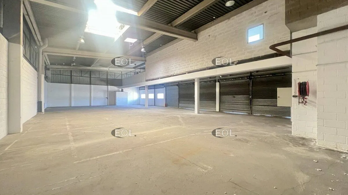 Photo 3