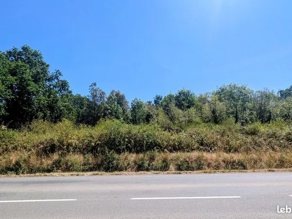 Terrain 3259 m² AVRILLE
