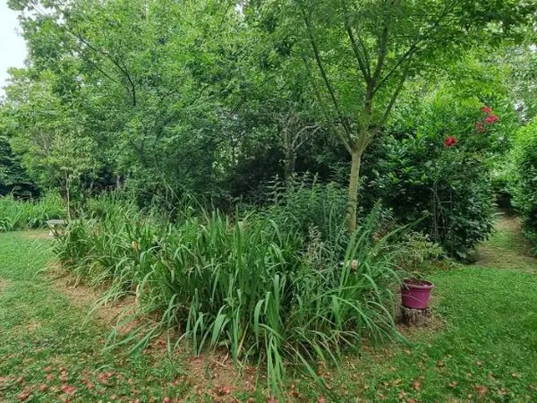 Terrain 627 m²