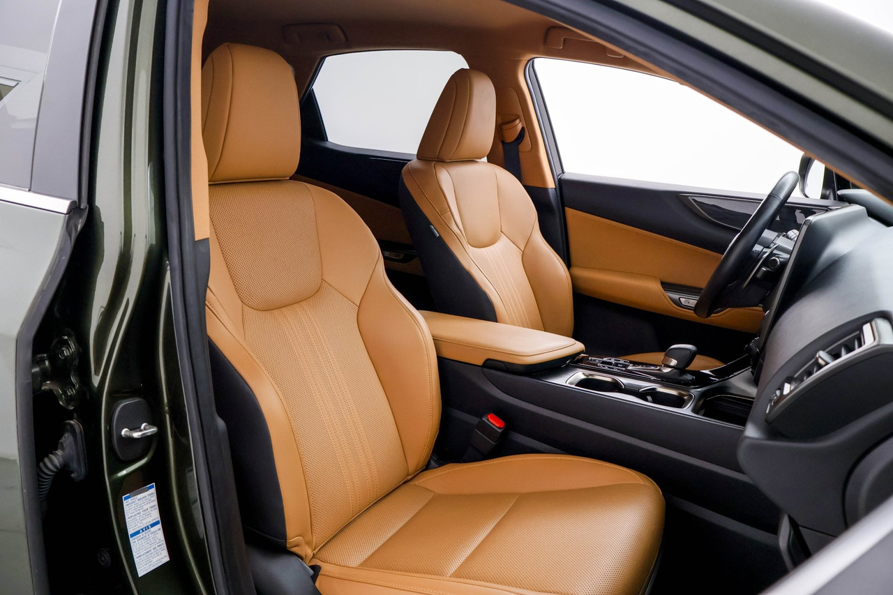 Lexus NX — photo 14