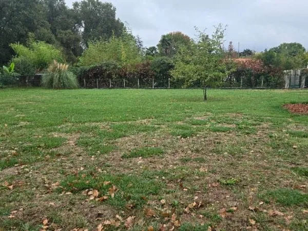 Terrain 1100 m²