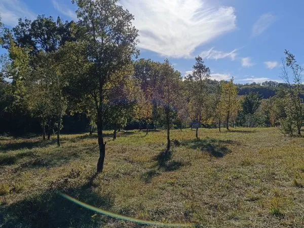 Vends terrain 36000m²