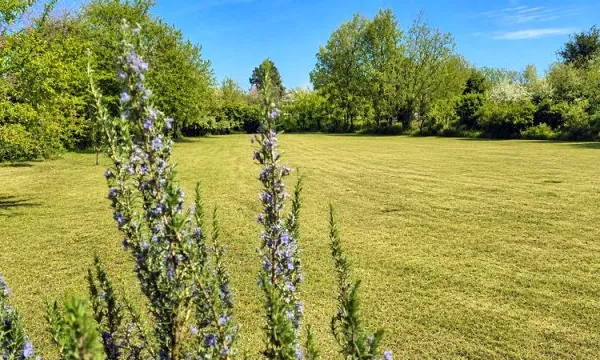 Grands terrains nature hors lotissement proximité Niort
