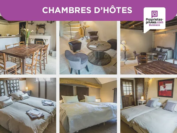 DOMAINE TOURISTIQUE- Maison principale, 2 chalets, 1 mobil-home, piscine, jacuzzi, Sauna, sur terrai