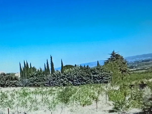 Terrain / Eco-Lieu à St.Guiraud . 151 / m2