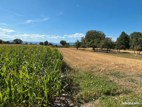 👉 Portes du RIED , dans UN ENVIRONNEMENT EXCEPTIONNEL, très Belle et spacieuse VILLA - piscine, gran