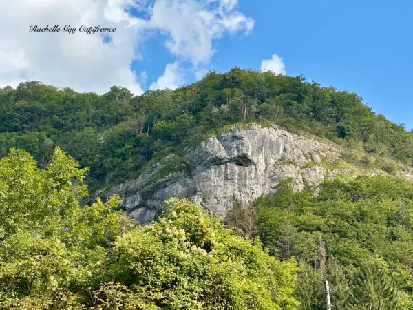 Terrain 3119 m²