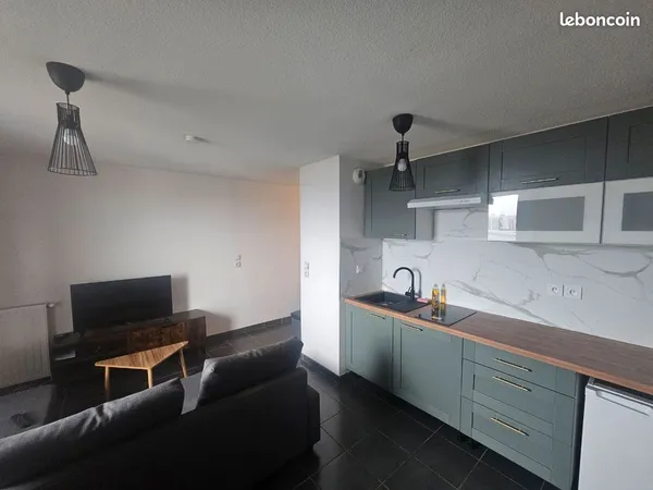 2 pièces- 38m² - meublé- Trois cocus