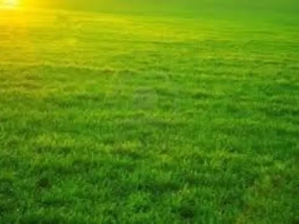 Terrain à bâtir Vente Villefranque  900m² 285000€