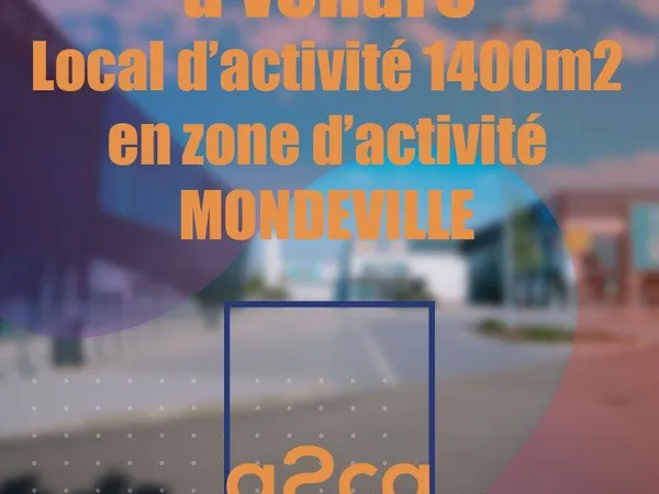 Local d'activité 1406 m²