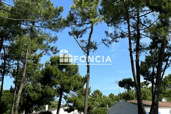 Terrain 452 m²