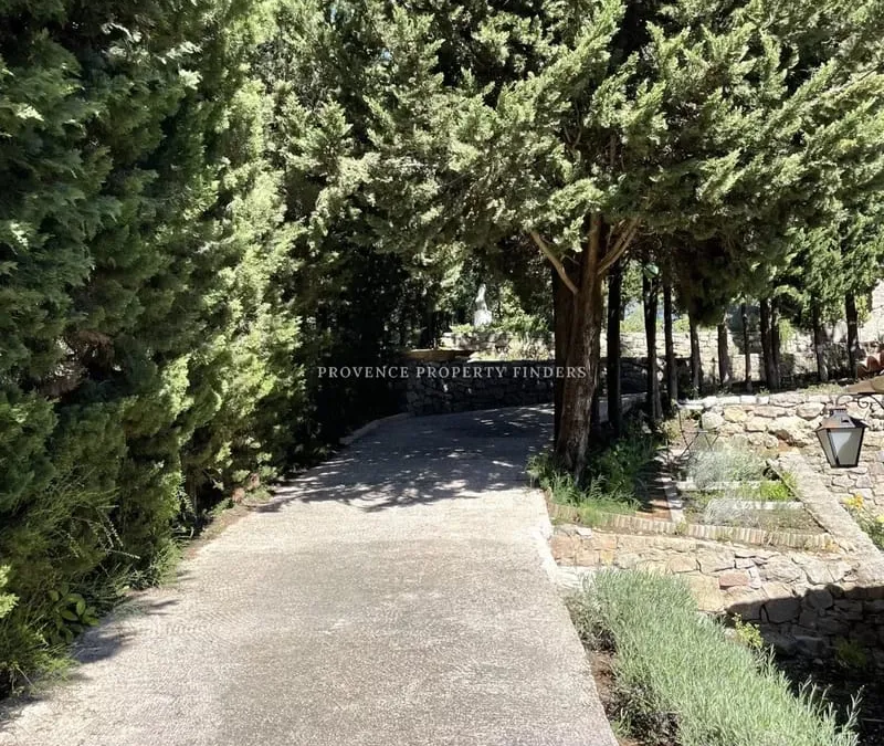 Photo 24