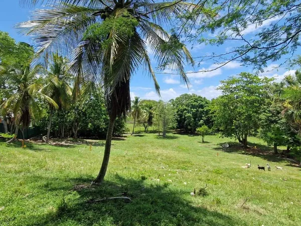 Terrain 968 m²