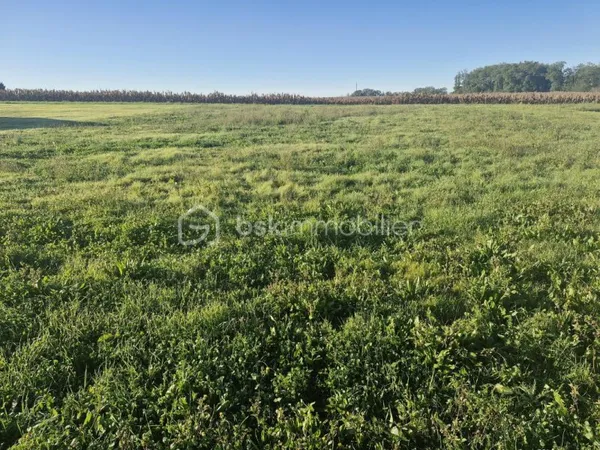 Terrain en individuel 1664 m²