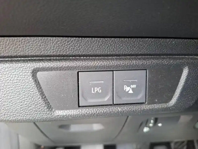 Dacia Sandero eco-g 100 — photo 21