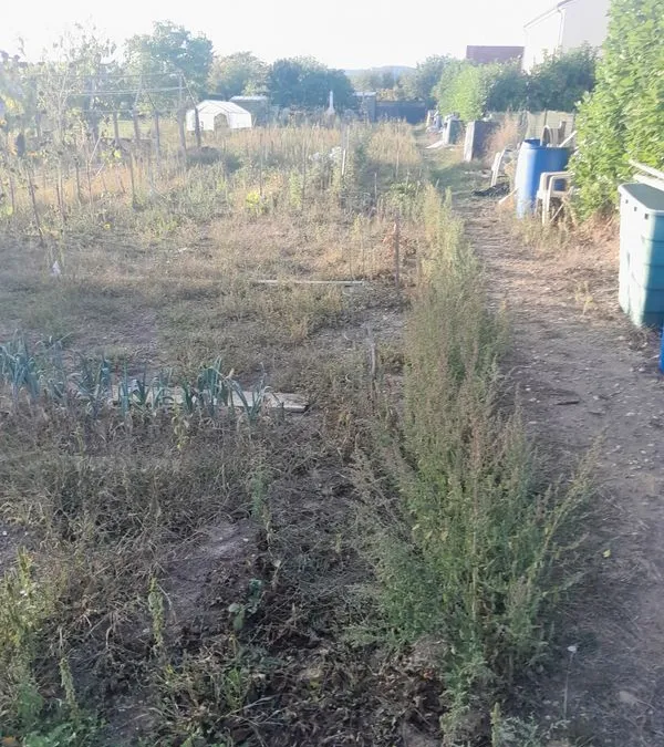 Photo 3