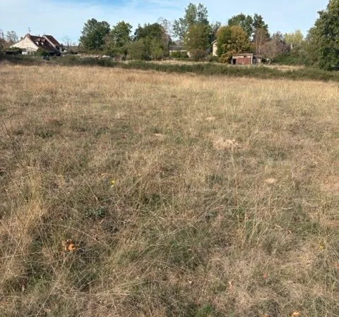Terrain 1 177 m² Paray Le Monial