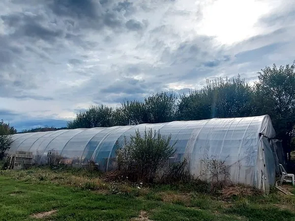 Micro-ferme Bio Clé en Main - Maraîchage & PPAM - Gironde (33)
