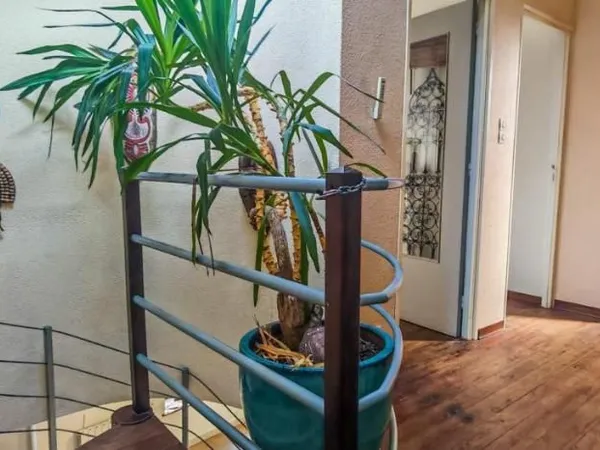 Maison 5 pièces 104 m²