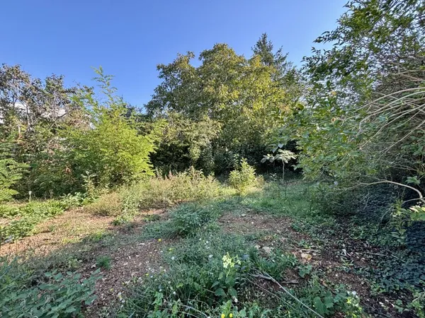 Terrain non viabilisé - 278 m2