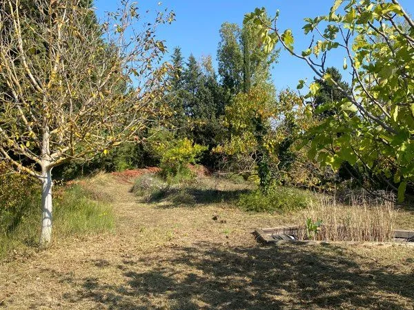 Terrain agricole/loisir